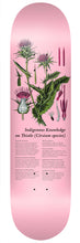 Load image into Gallery viewer, Colonialism - Indigenous Medicine Knowledge On Thistle Deck in 8.25"