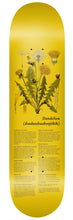 Load image into Gallery viewer, Colonialism - Indigenous Medicine Dandelion Plant Deck in 8.25"
