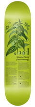 Load image into Gallery viewer, Colonialism - Indigenous Medicine Stinging Nettle Deck in 8.25"

