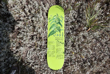 Load image into Gallery viewer, Colonialism - Indigenous Medicine Stinging Nettle Deck in 8.25"
