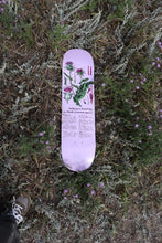 Load image into Gallery viewer, Colonialism - Indigenous Medicine Knowledge On Thistle Deck in 8.25"
