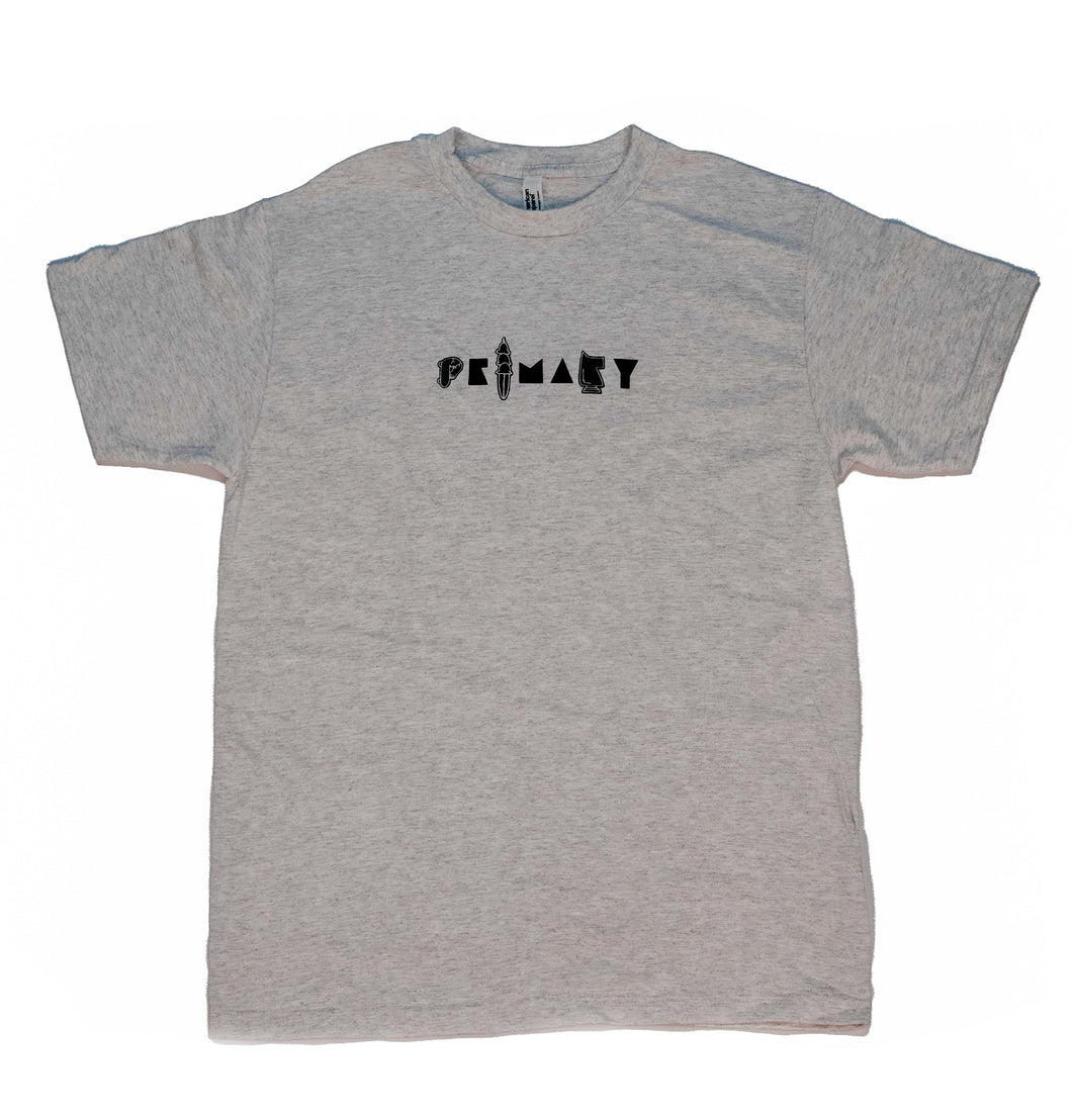 Primary Skateboards - Sisters T-Shirt in Heather Grey